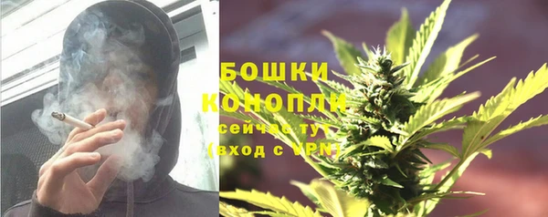 молекула духа Аркадак