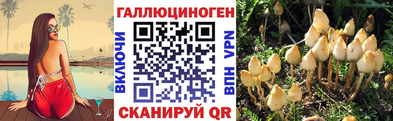 Псилоцибиновые грибы мицелий  Сочи 