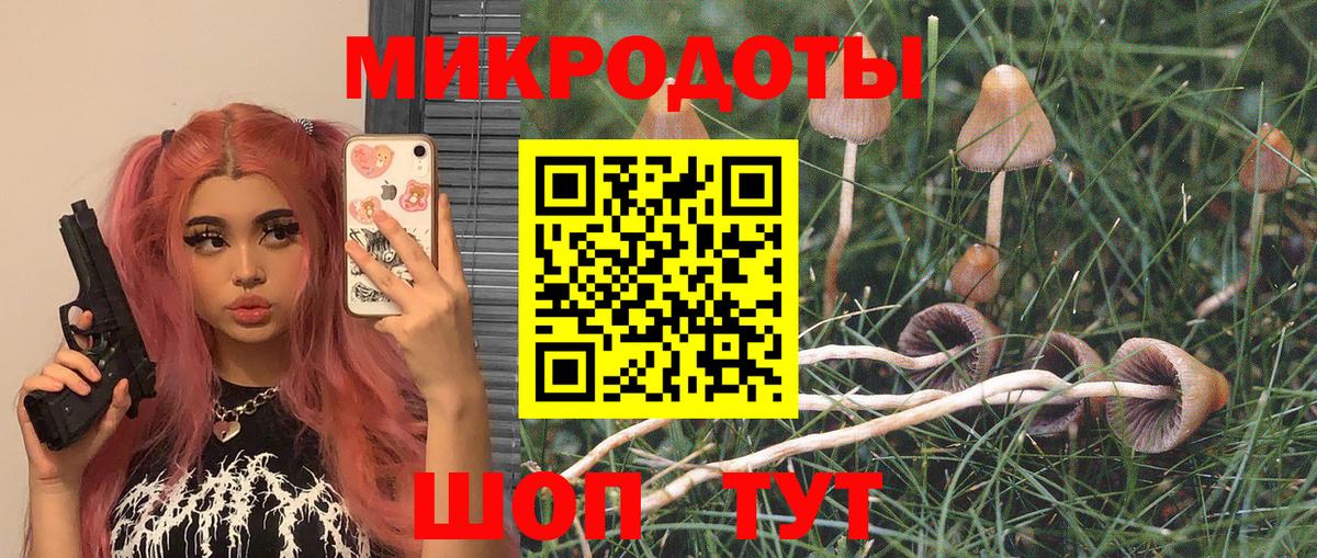 Сочи  Псилоцибиновые грибы мицелий  Вход с VPN 