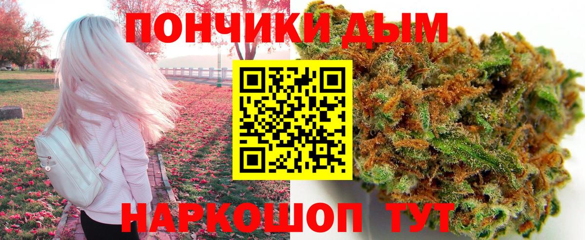 Каннабис OG Kush Сочи